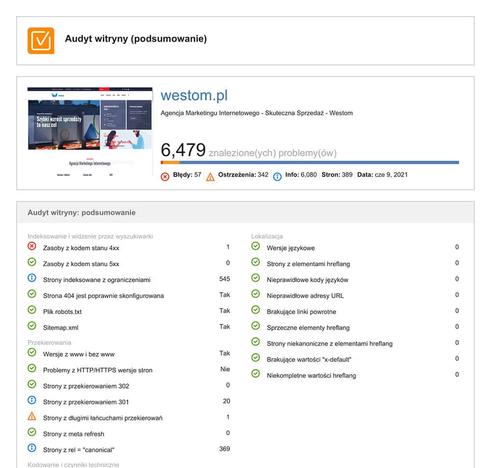 Audyt witryny podsumowanie 1