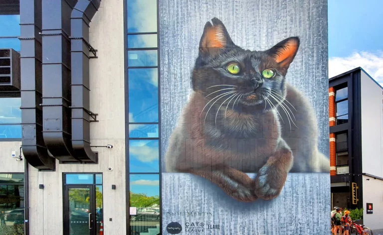 Jak wykorzystać AI do poprawy zdjęć – nowoczesne narzędzia i techniki