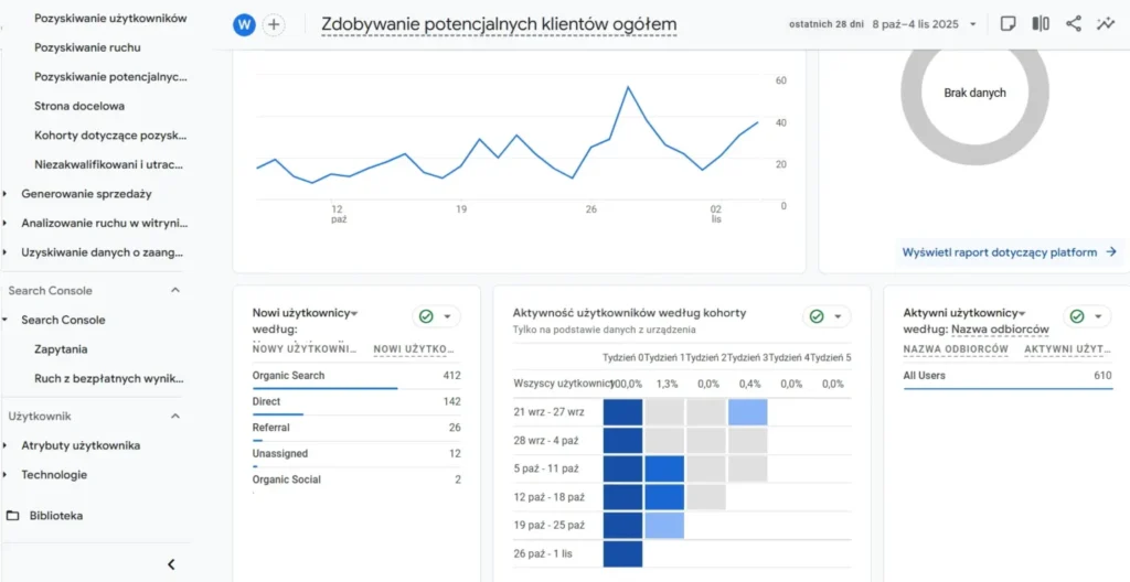 panel google analytics widok na wykresy