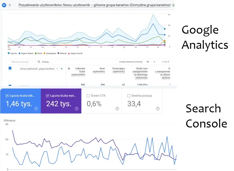 panel google analytics search console
