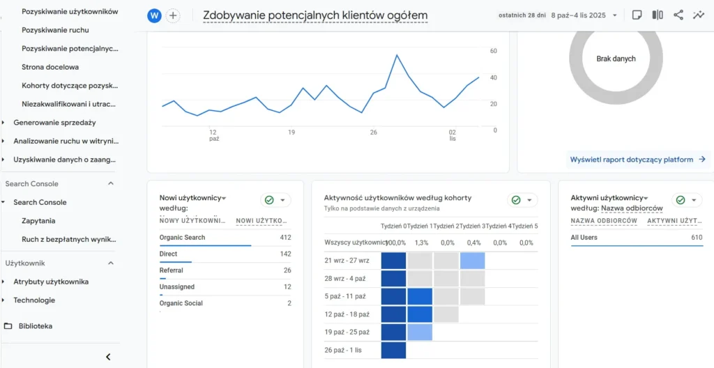 widok panel google analytics console 