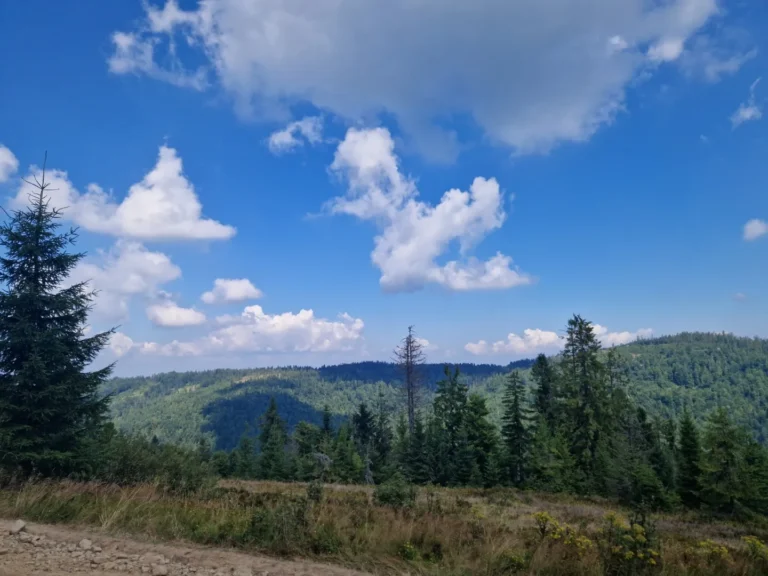 Slow life, czyli pomysł na wakacje bez komputera i telefonu